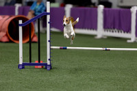 RookieICEJumping202618