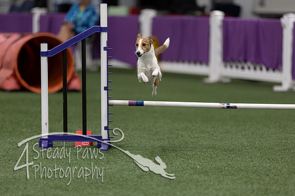 RookieICEJumping202618