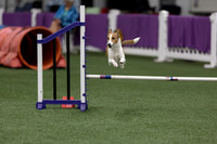 RookieICEJumping202619