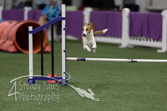 RookieICEJumping202619