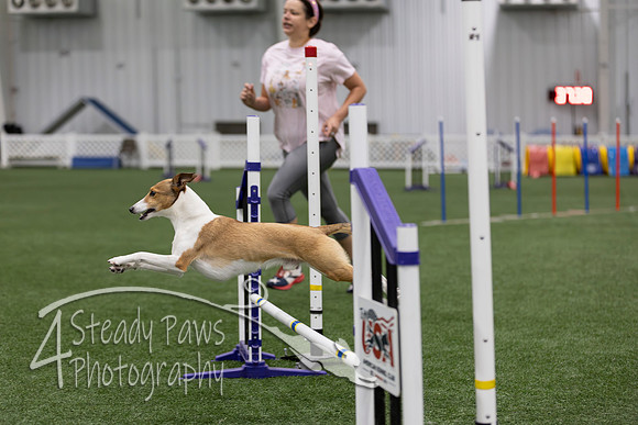 RookieICEJumping202620