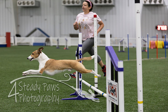 RookieICEJumping202621