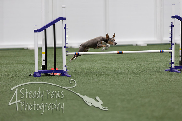 RookieICEJumping202622