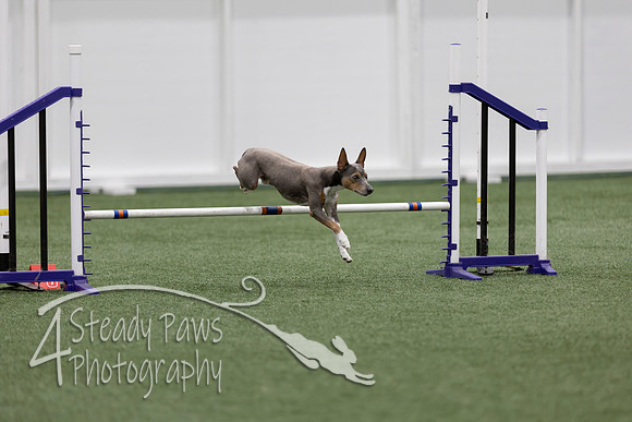 RookieICEJumping202624