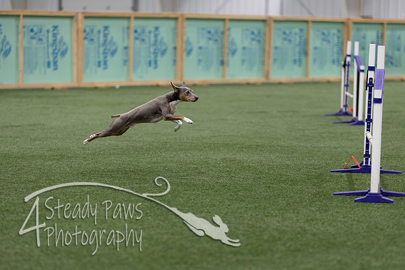 RookieICEJumping202625