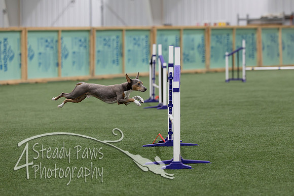 RookieICEJumping202626