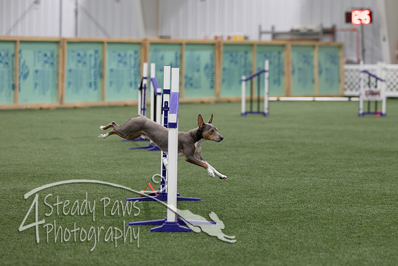 RookieICEJumping202627