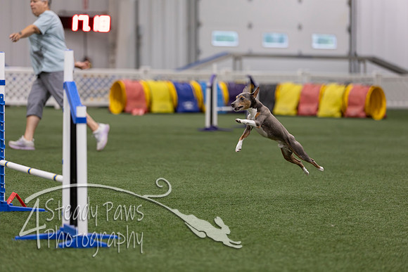 RookieICEJumping202631