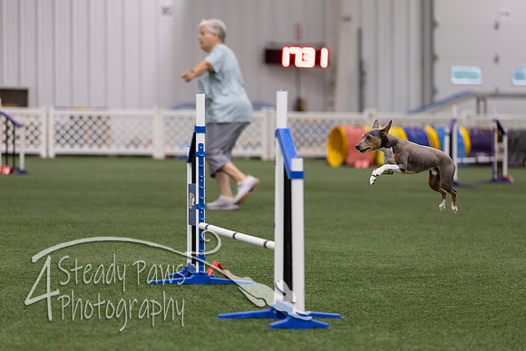 RookieICEJumping202632