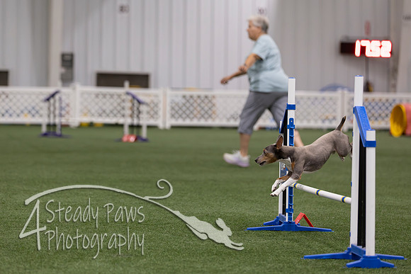 RookieICEJumping202633