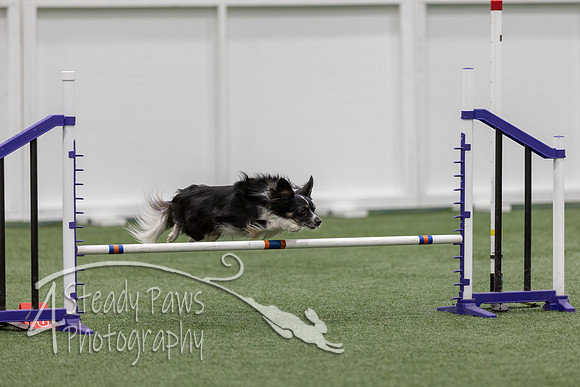 RookieICEJumping202637