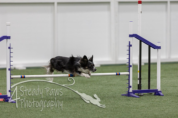 RookieICEJumping202638