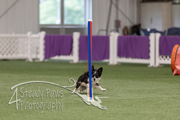 RookieICEJumping202639