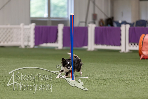RookieICEJumping202641