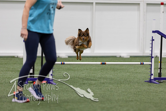RookieICEJumping202644