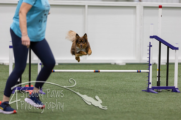 RookieICEJumping202645