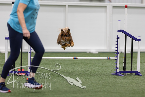 RookieICEJumping202646