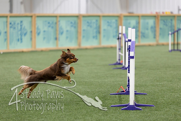 RookieICEJumping202648