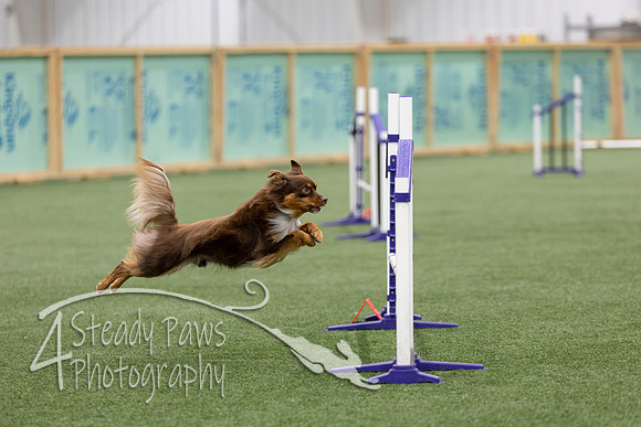 RookieICEJumping202649