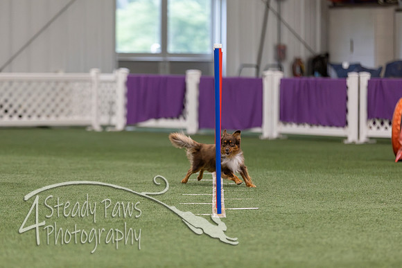 RookieICEJumping202653