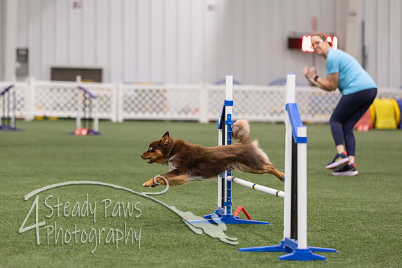 RookieICEJumping202660