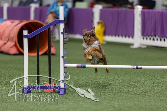 RookieICEJumping202661