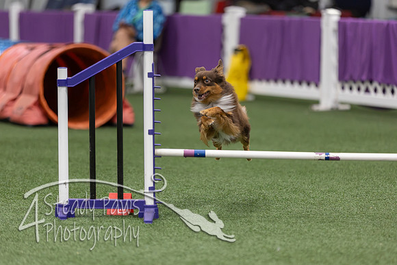 RookieICEJumping202662