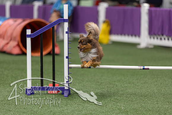 RookieICEJumping202663