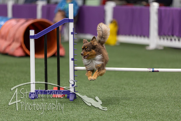 RookieICEJumping202664