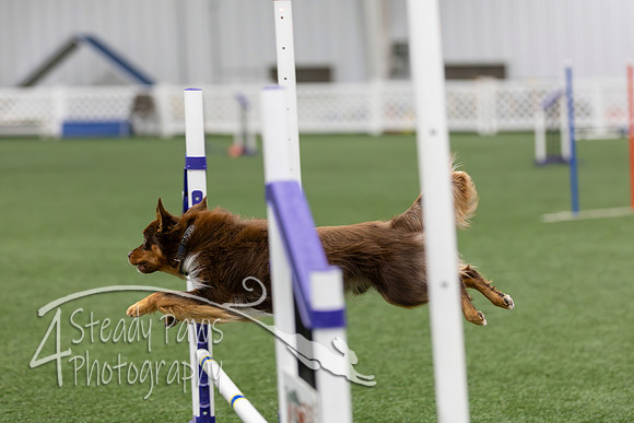 RookieICEJumping202665