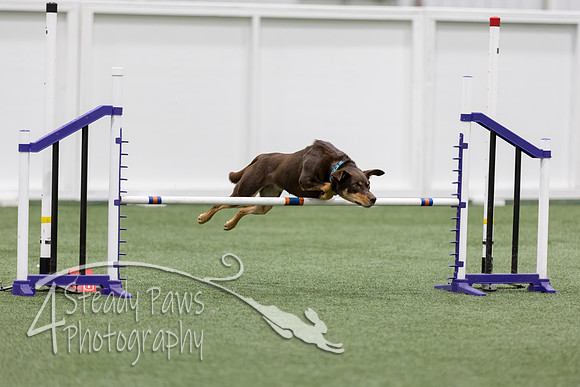 RookieICEJumping202667