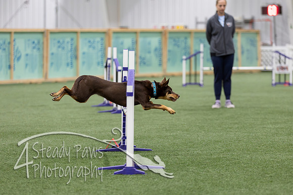 RookieICEJumping202671