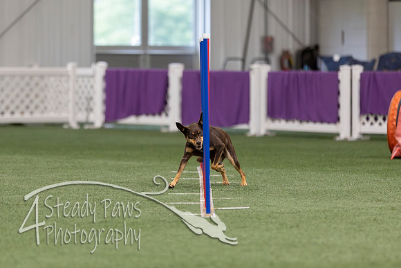 RookieICEJumping202672