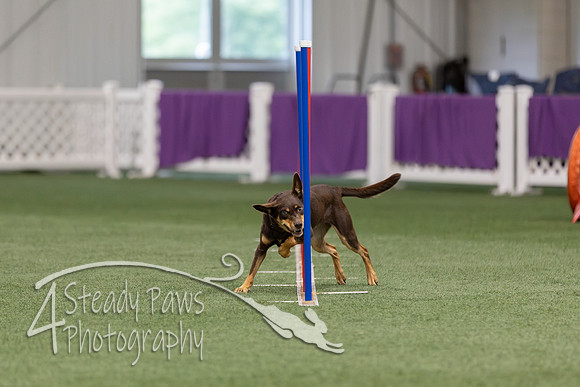 RookieICEJumping202677