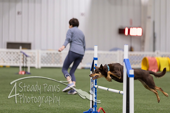 RookieICEJumping202679