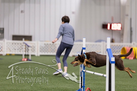 RookieICEJumping202680