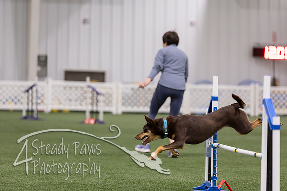 RookieICEJumping202682