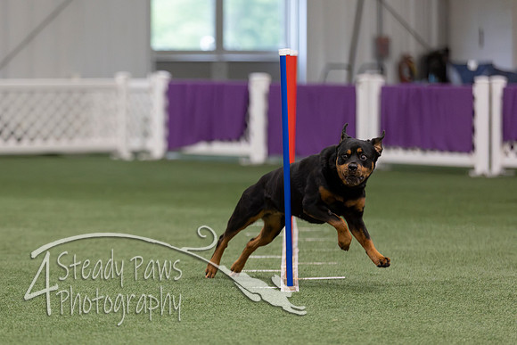 RookieICEJumping202688