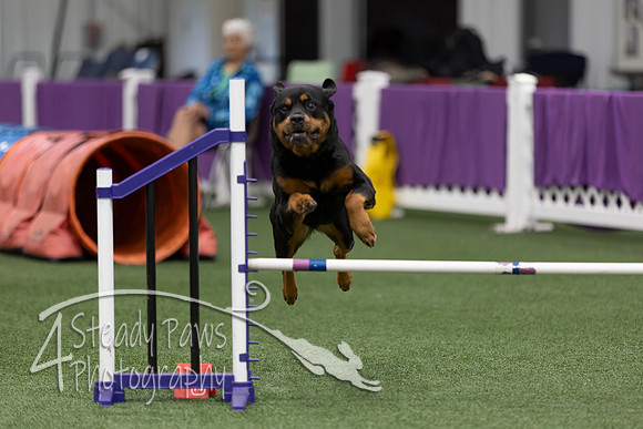RookieICEJumping202692