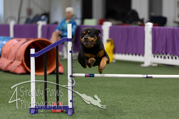 RookieICEJumping202693