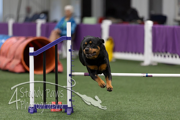 RookieICEJumping202694
