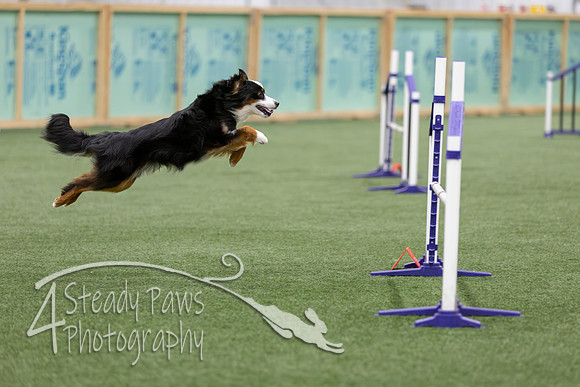 RookieICEJumping202697