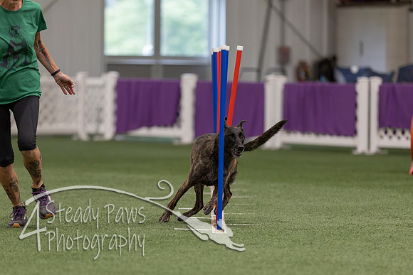 RookieICEJumping2026147