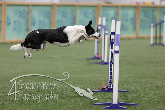 RookieICEJumping2026170