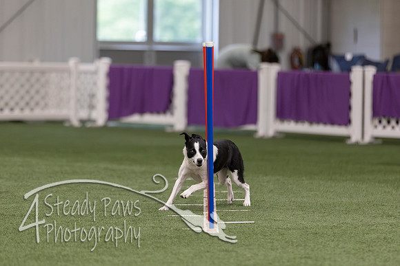 RookieICEJumping2026176