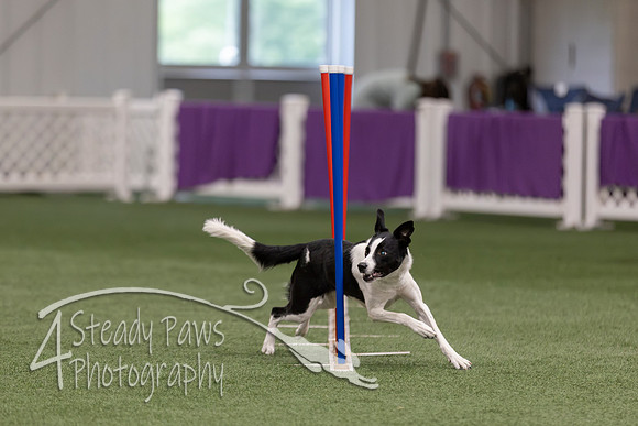 RookieICEJumping2026181