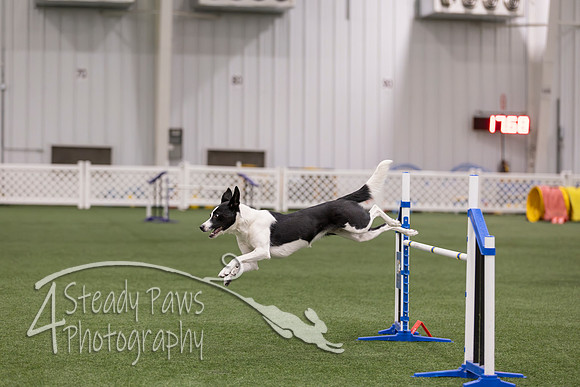 RookieICEJumping2026186