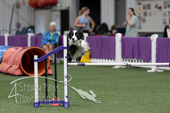 RookieICEJumping2026202