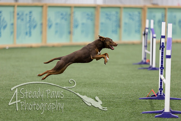 RookieICEJumping2026225