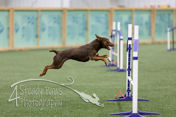 RookieICEJumping2026226